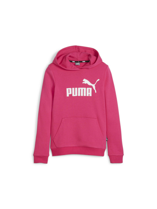 Худі та світшоти PUMA Ess Logo Hoodie модель 587030 Фото