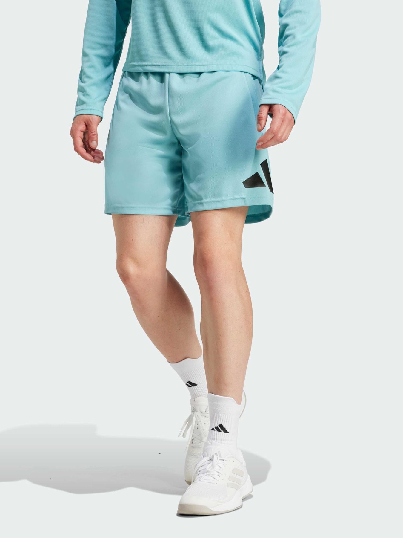 Шорты Adidas модель IW3409 Фото