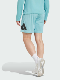 Шорты Adidas модель IW3409 Фото