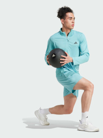 Шорты Adidas модель IW3409 Фото