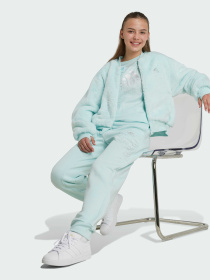 Куртки та дублянки Adidas модель IV9420 Фото