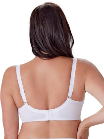 Нижня білизна BERLEI Sublime Lace модель B608 Фото