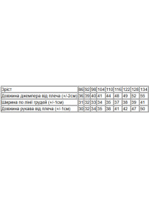 Худи и свитшоты Носи своє модель 6071-035-5-mishka-na-sromu Фото
