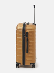 Дорожные сумки и чемоданы Ricco Grande модель T15003Gold-L Фото