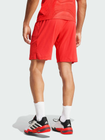 Шорты Adidas модель JN1341 Фото