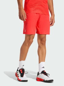 Шорты Adidas модель JN1341 Фото