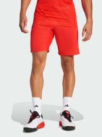 Шорты Adidas модель JN1341 Фото