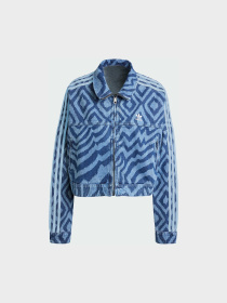 Куртки и дубленки Adidas модель IW0793 Фото