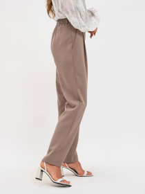 Брюки Lesia модель BrownSionaWPNTLS Фото