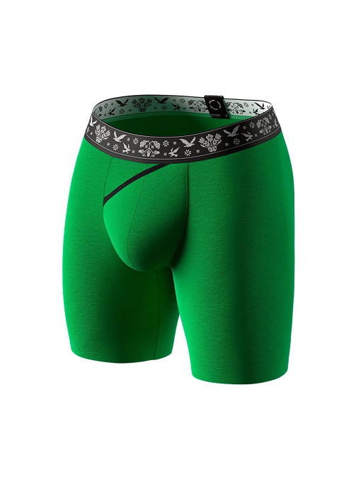 Нижня білизна MAN's SET Anatomic Long 2.0 модель UkrainianLong2.0GreenMNSTPNT Фото