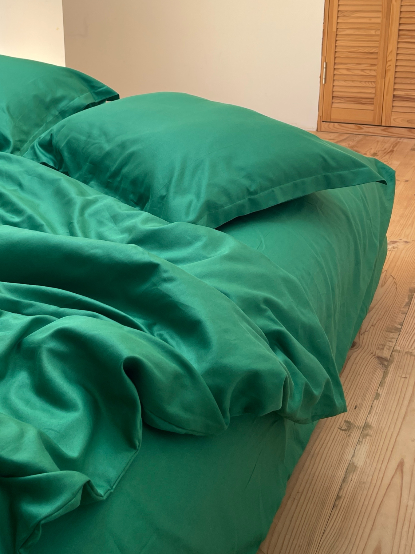 Підковдра класична зелена Cozy модель 9945725 Фото