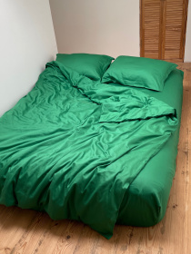 Підковдра класична зелена Cozy модель 9945725 Фото