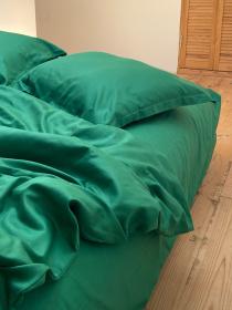 Підковдра класична зелена Cozy модель 9945725 Фото