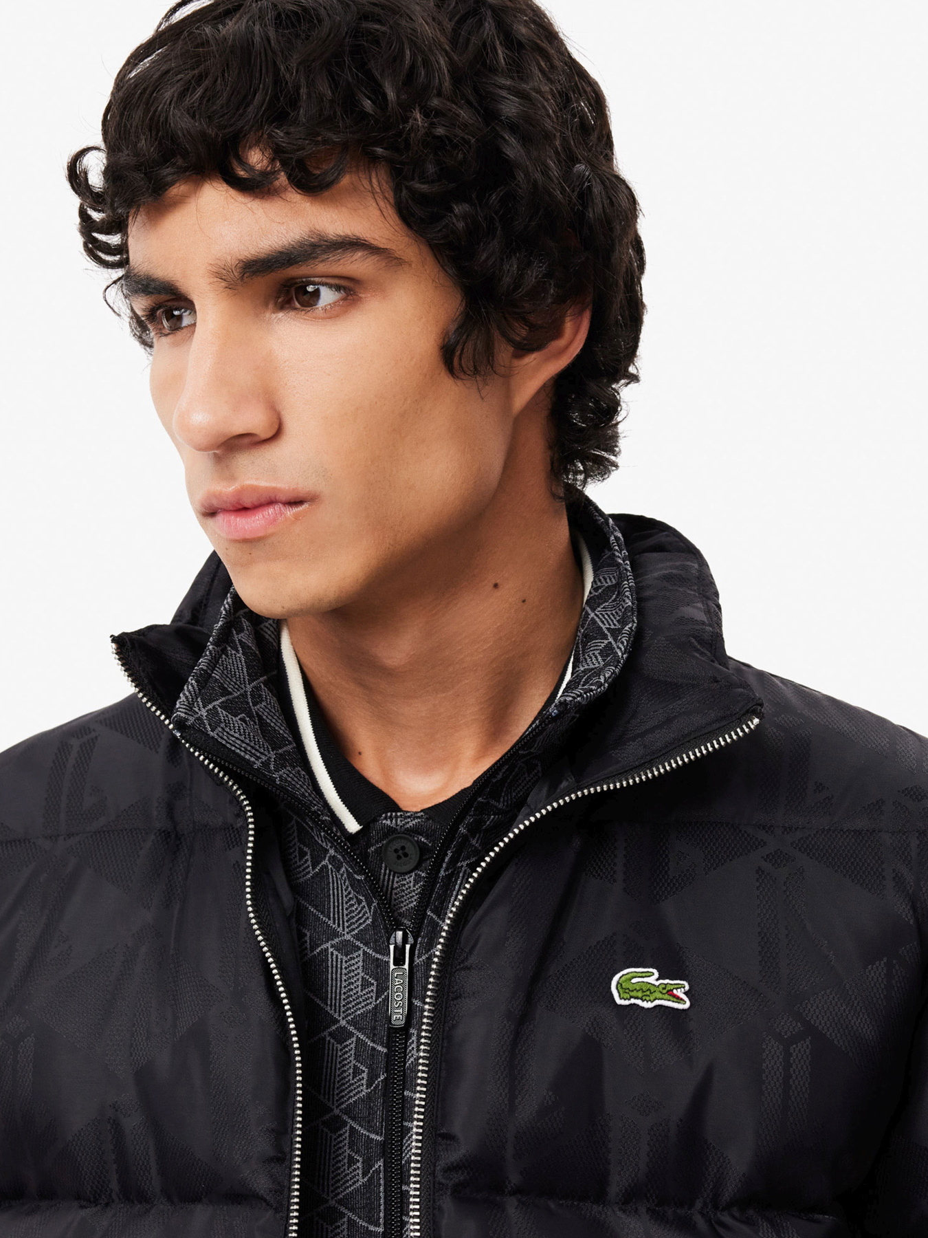 Куртки и дубленки Lacoste модель BH4004031 Фото