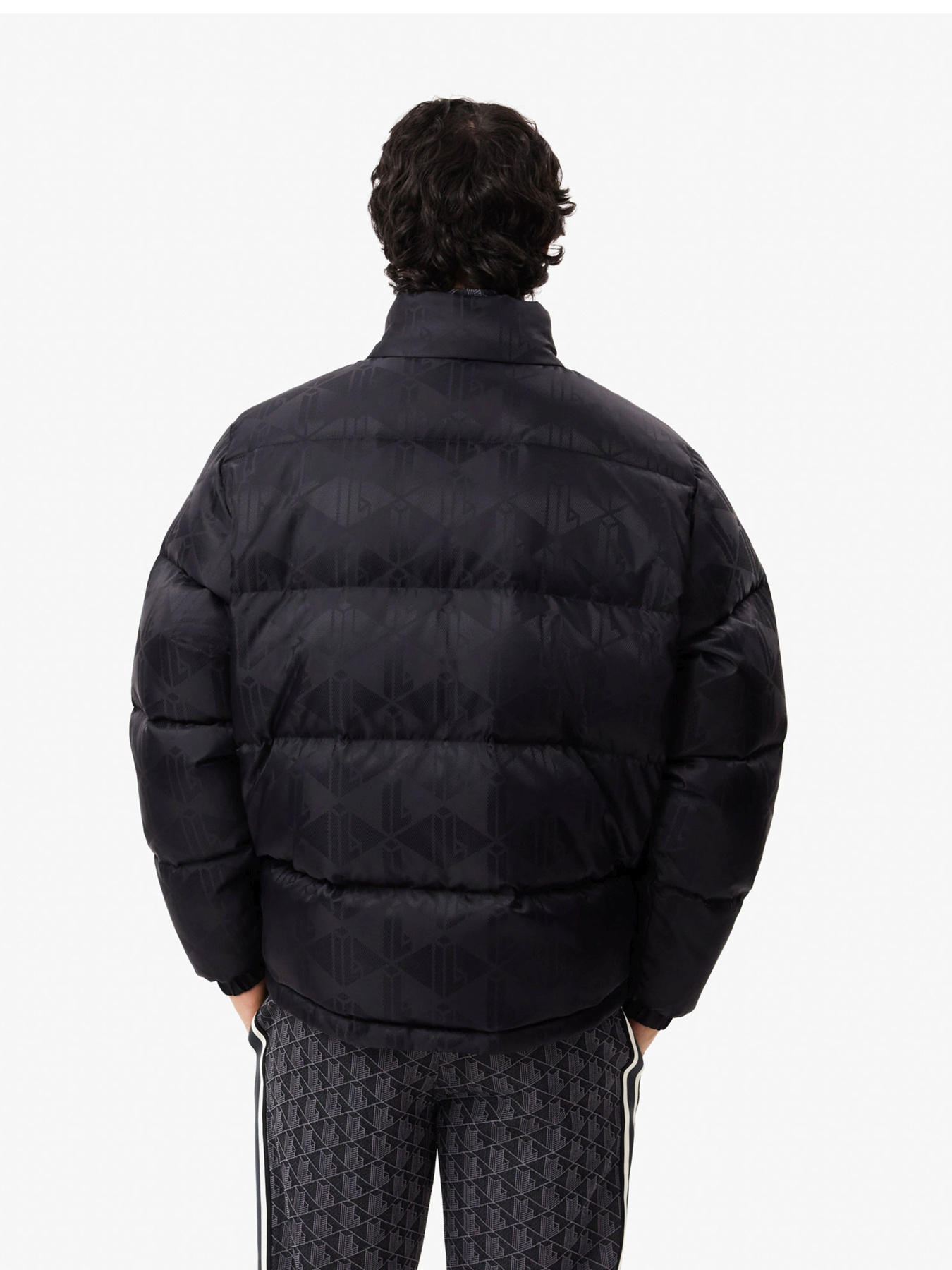 Куртки и дубленки Lacoste модель BH4004031 Фото