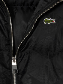 Куртки и дубленки Lacoste модель BH4004031 Фото