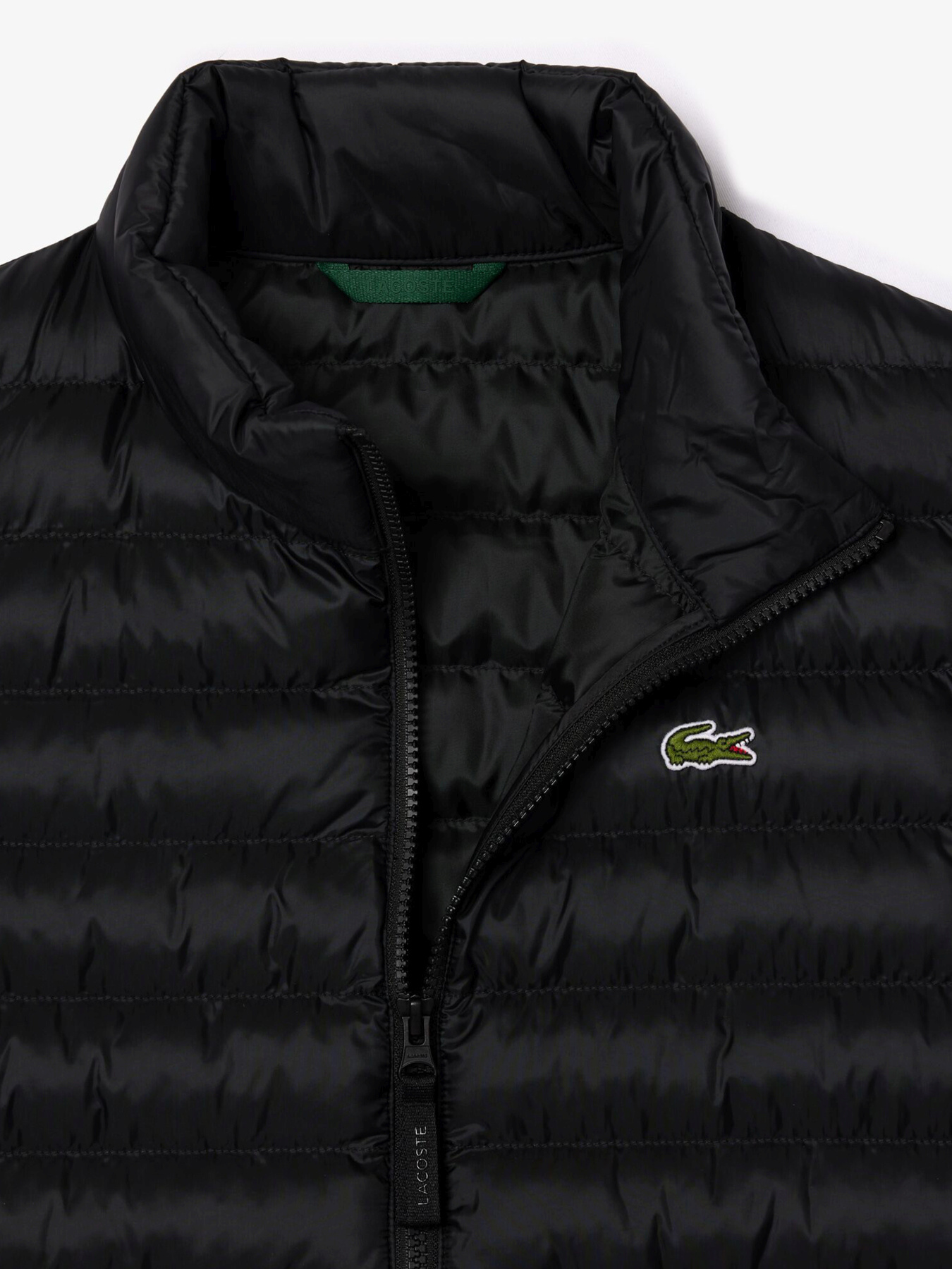 Куртки та дублянки Lacoste модель BH2886031 Фото