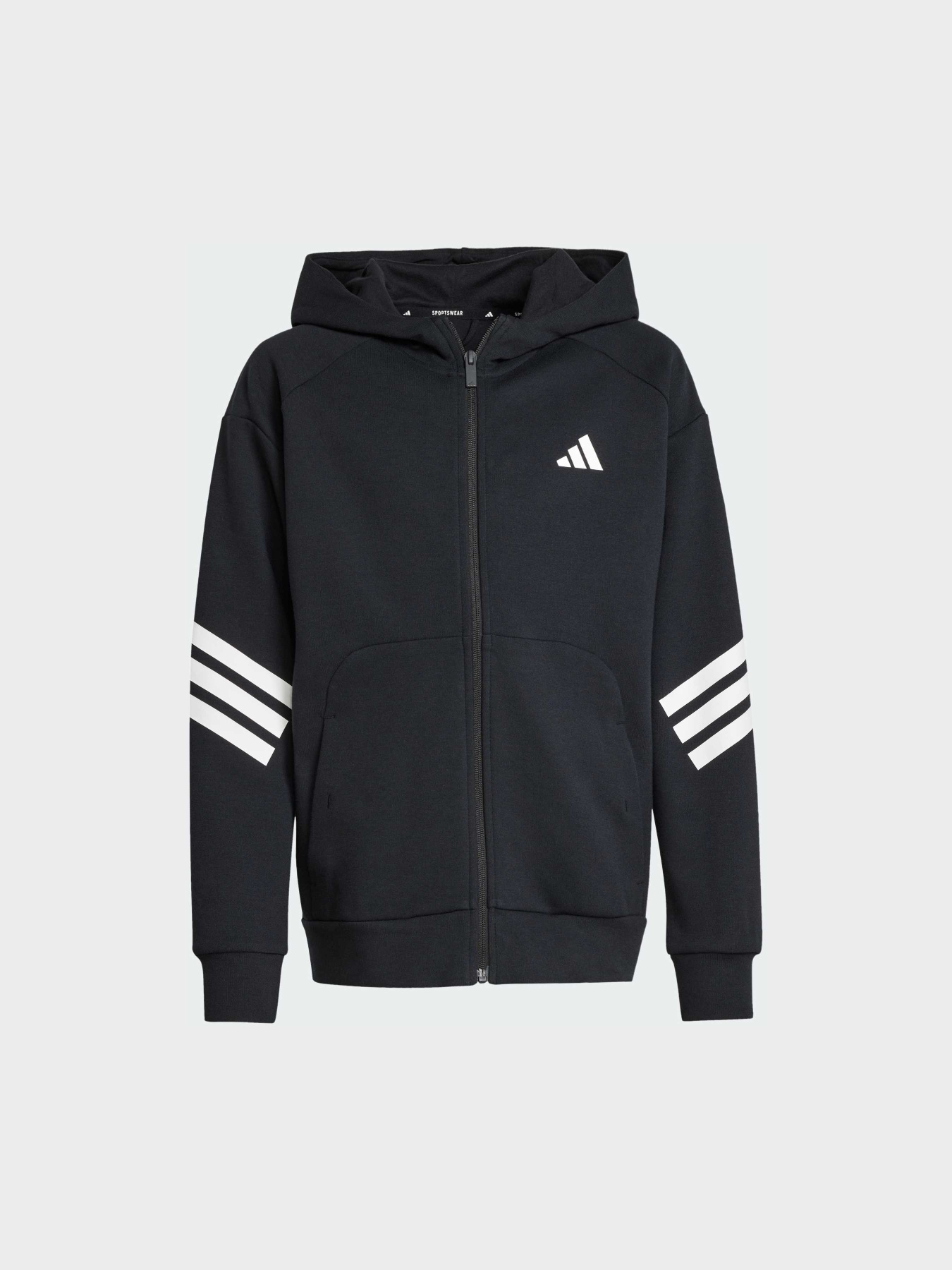 Худі та світшоти Adidas Культові силуети модель JJ4801 Фото