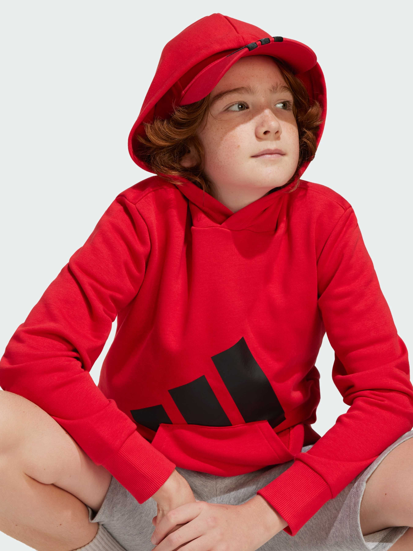 Худи и свитшоты Adidas Культовые силуэты модель JE1389 Фото