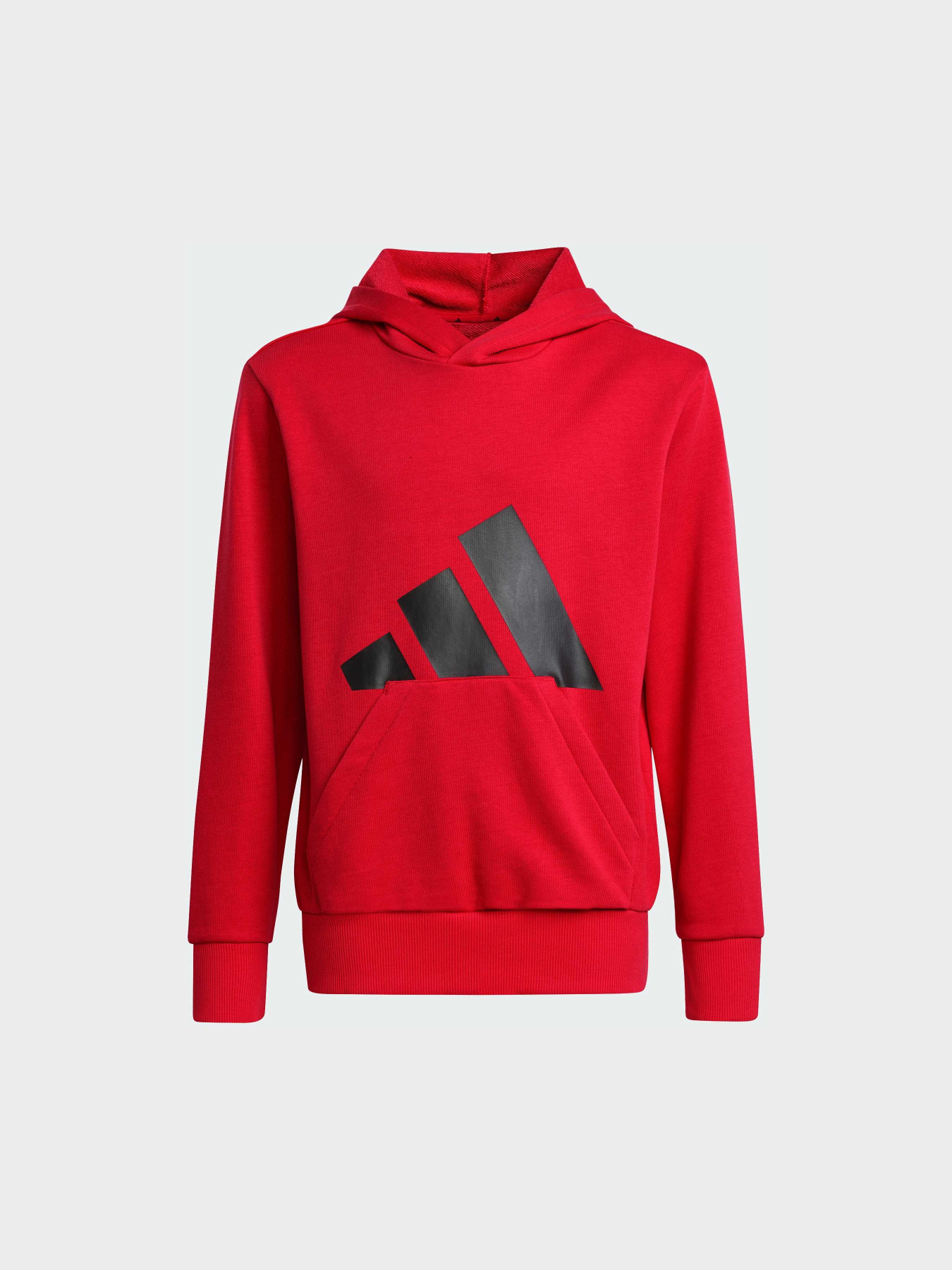 Худи и свитшоты Adidas Культовые силуэты модель JE1389 Фото