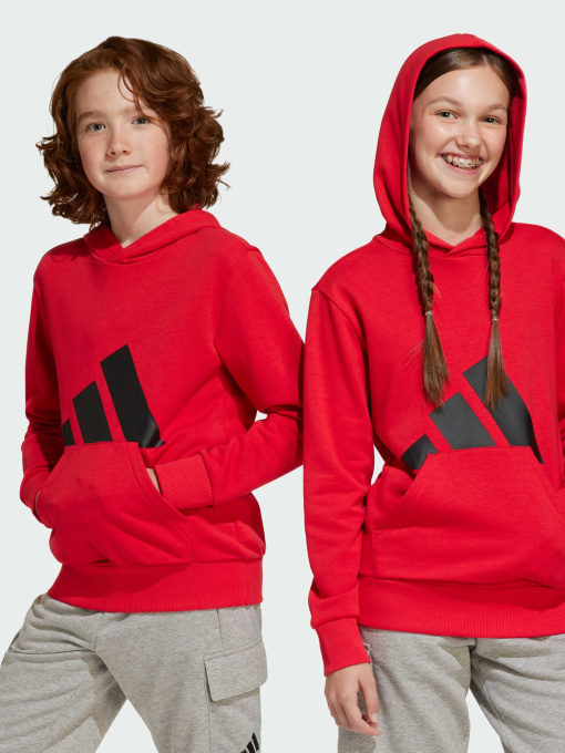 Худи и свитшоты Adidas Культовые силуэты модель JE1389 Фото