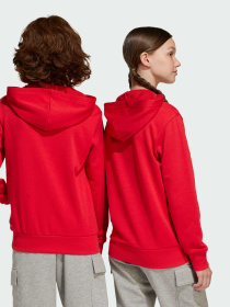 Худи и свитшоты Adidas Культовые силуэты модель JE1389 Фото