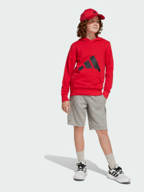 Худи и свитшоты Adidas Культовые силуэты модель JE1389 Фото