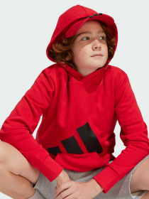 Худи и свитшоты Adidas Культовые силуэты модель JE1389 Фото