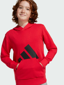 Худи и свитшоты Adidas Культовые силуэты модель JE1389 Фото