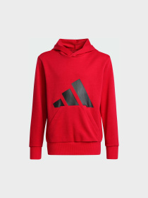 Худи и свитшоты Adidas Культовые силуэты модель JE1389 Фото