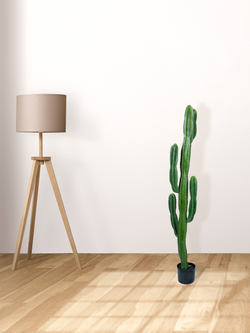 Искусственное растение "Cactus" Engard модель TW-40 Фото