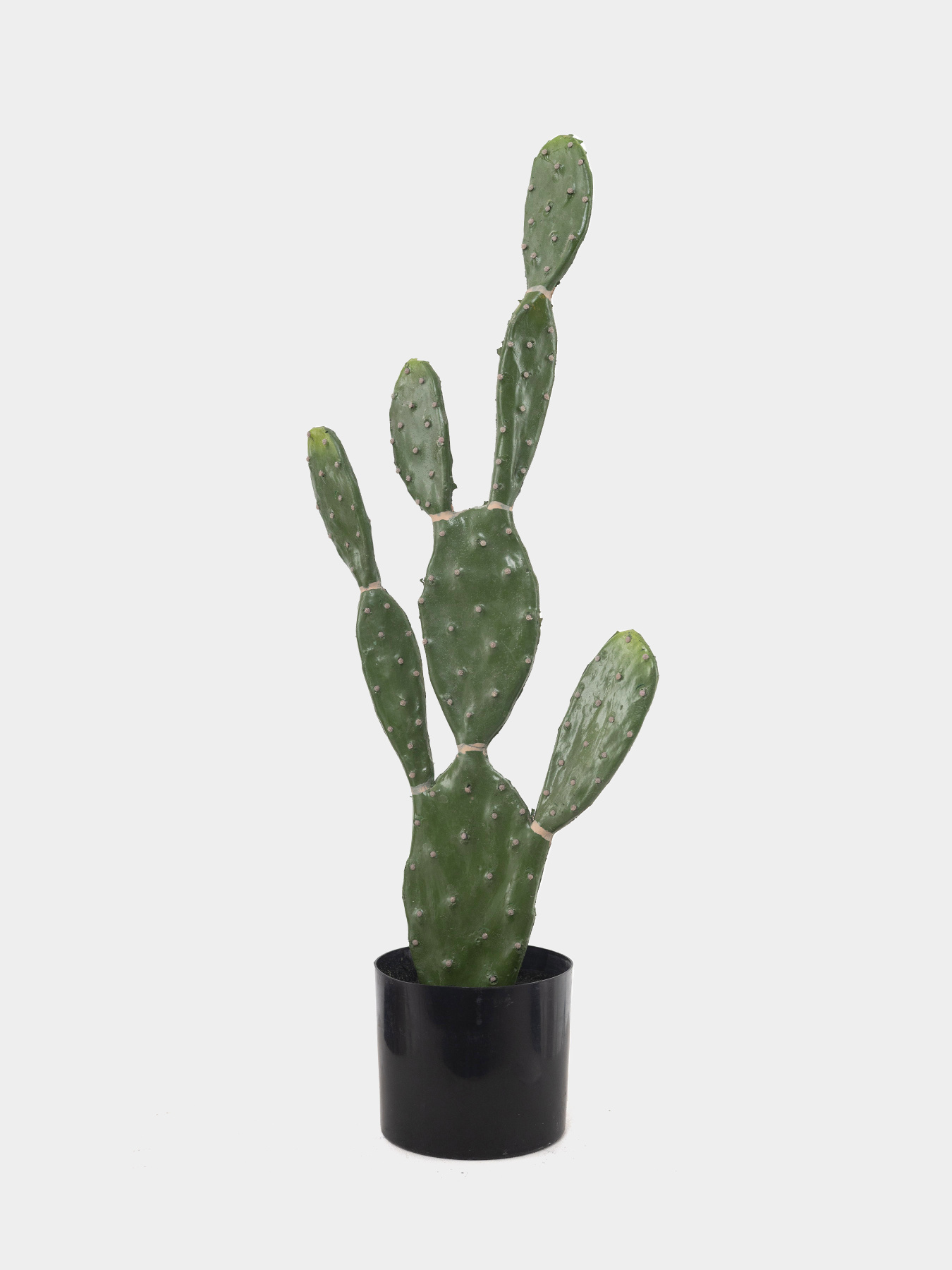 Штучна рослина "Cactus", 75 cм Engard модель TW-41 Штучна рослина "Cactus", 75 cм Engard модель TW-41 Фото