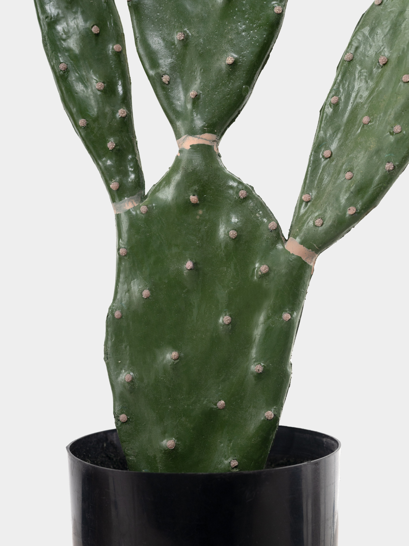 Штучна рослина "Cactus", 75 cм Engard модель TW-41 Штучна рослина "Cactus", 75 cм Engard модель TW-41 Фото
