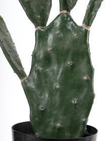 Штучна рослина "Cactus" Engard модель TW-42 Фото