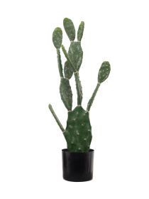Штучна рослина "Cactus" Engard модель TW-42 Фото