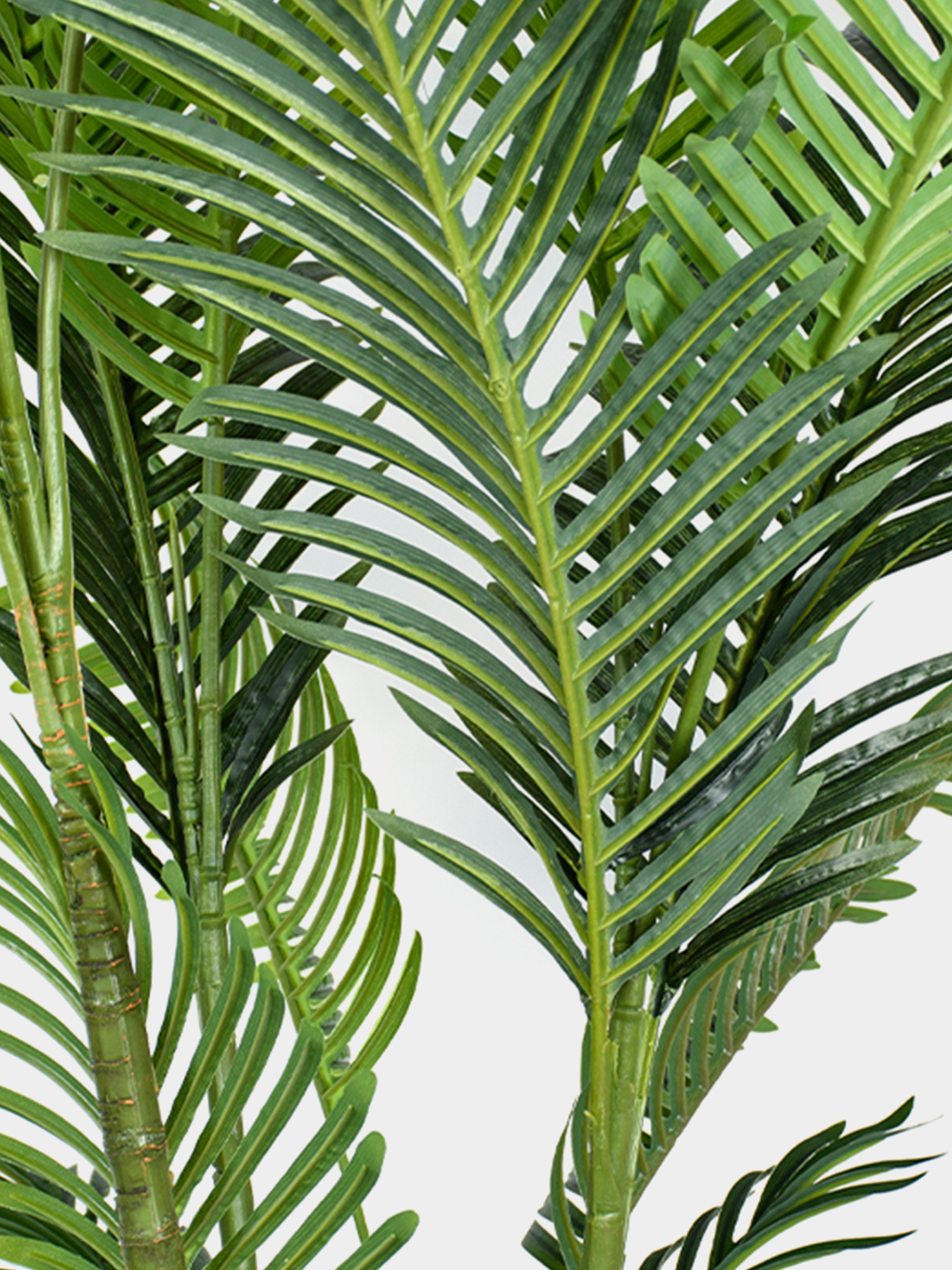 Штучна рослина "Palm Tree" Engard модель TW-29 Штучна рослина "Palm Tree" Engard модель TW-29 Фото