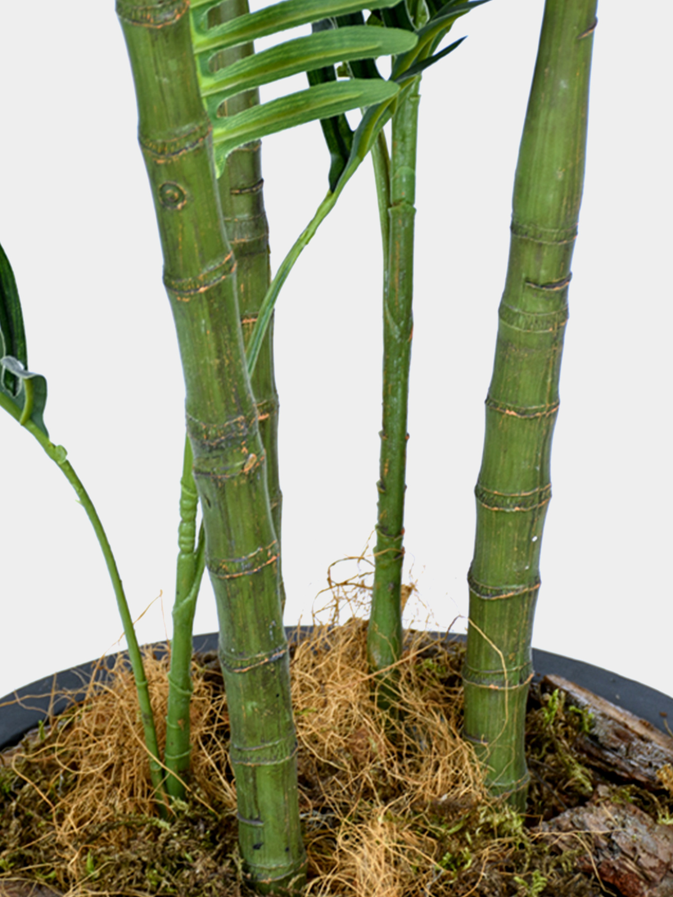 Штучна рослина "Palm Tree" Engard модель TW-29 Штучна рослина "Palm Tree" Engard модель TW-29 Фото