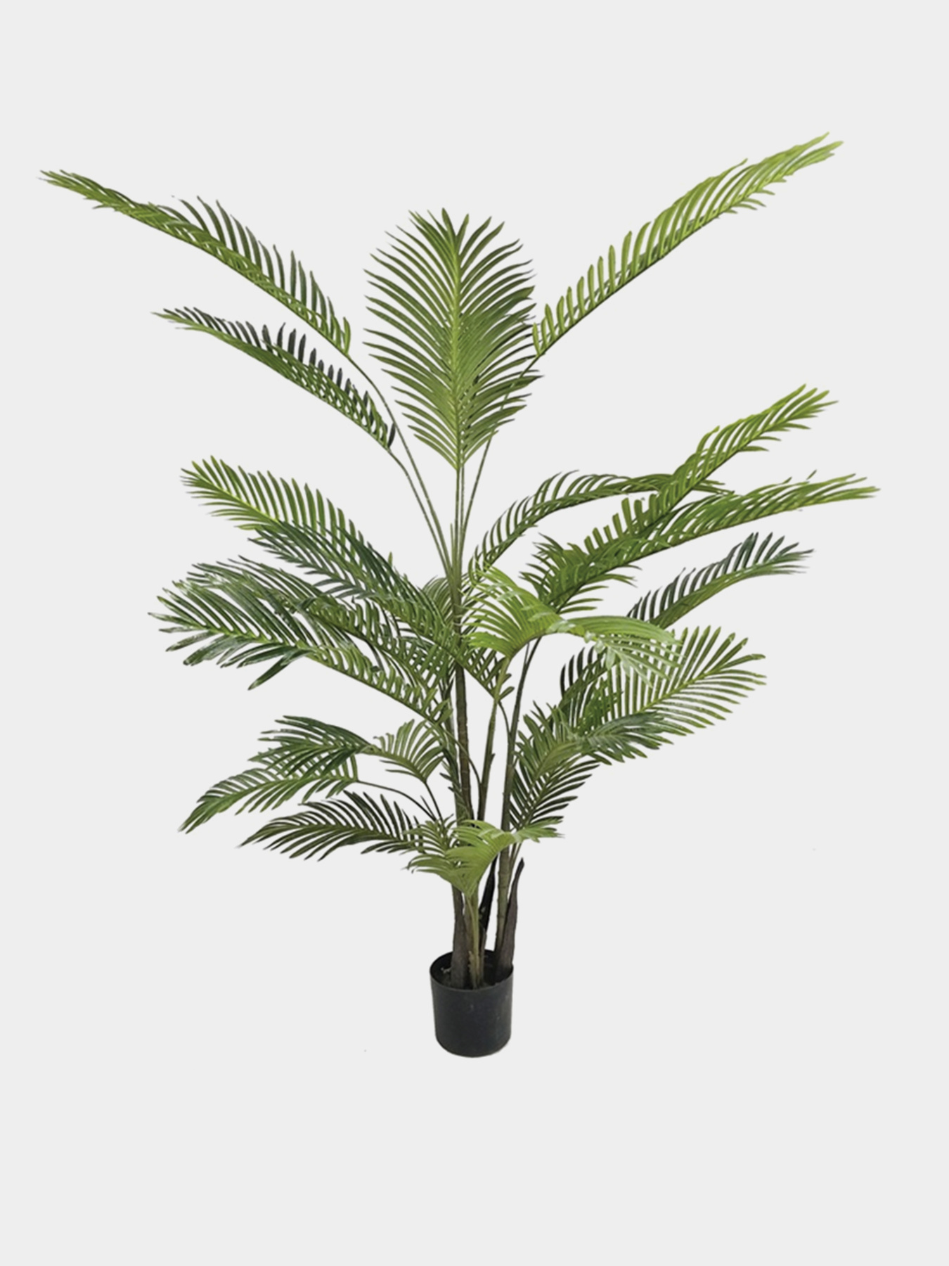 Штучна рослина "Palm Tree" Engard модель TW-29 Штучна рослина "Palm Tree" Engard модель TW-29 Фото