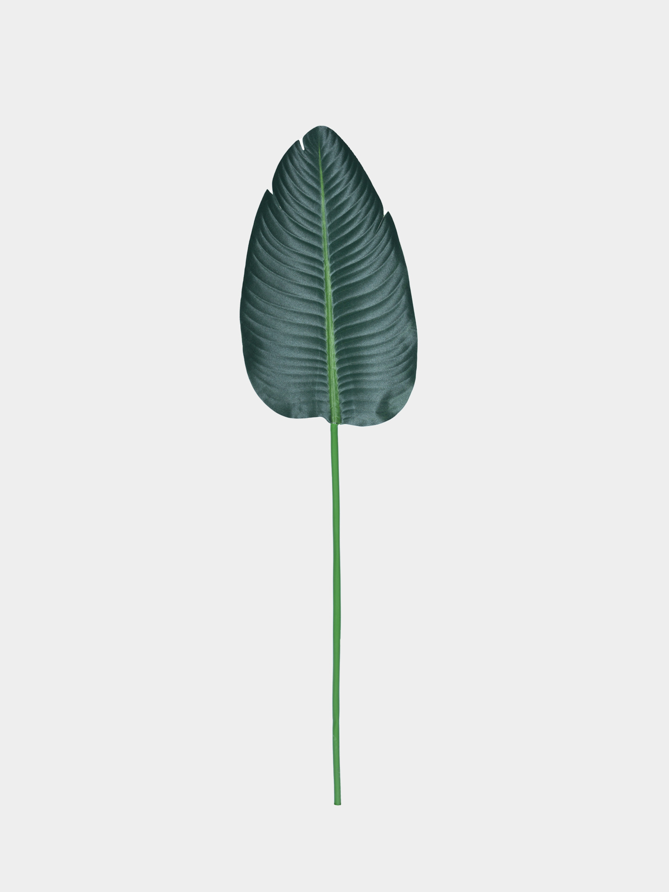 Искусственный лист "Banana Tree" Engard модель TW-51 Фото