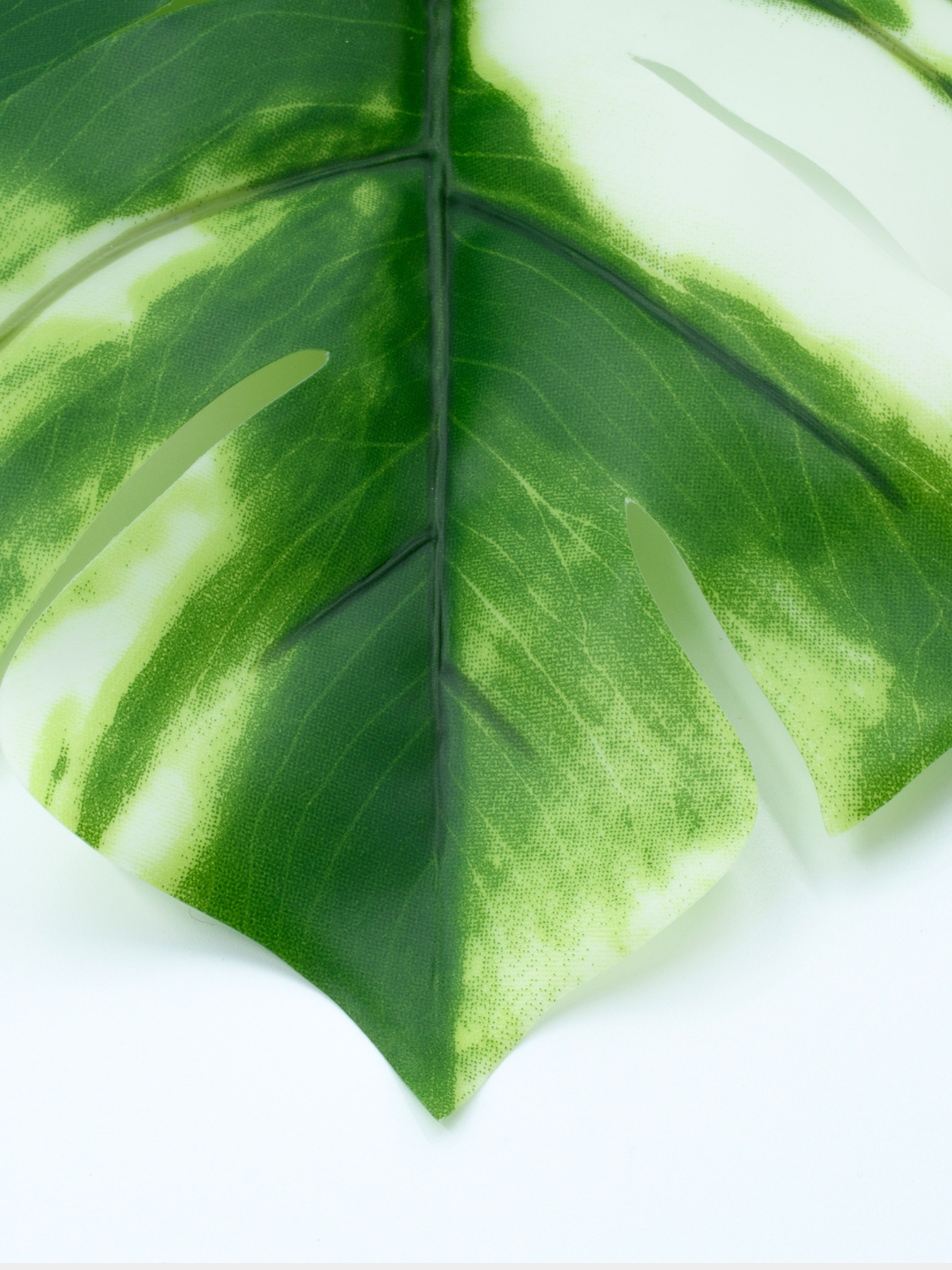 Штучне листя "Monstera Alba" Engard модель TW-53 Фото