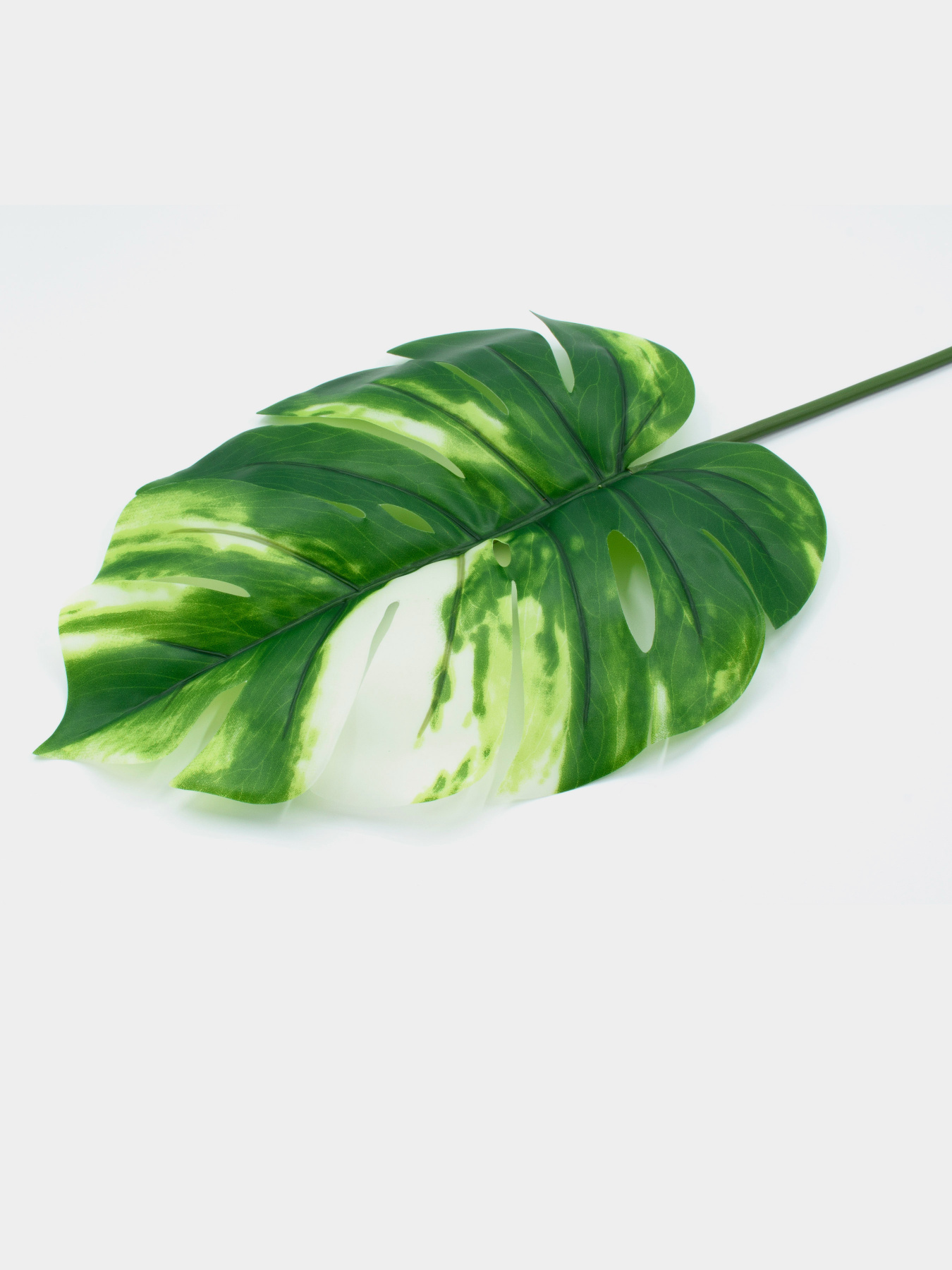 Штучне листя "Monstera Alba" Engard модель TW-53 Фото