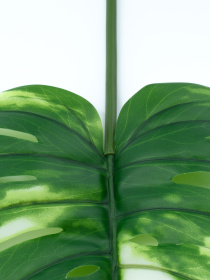 Штучне листя "Monstera Alba" Engard модель TW-53 Фото