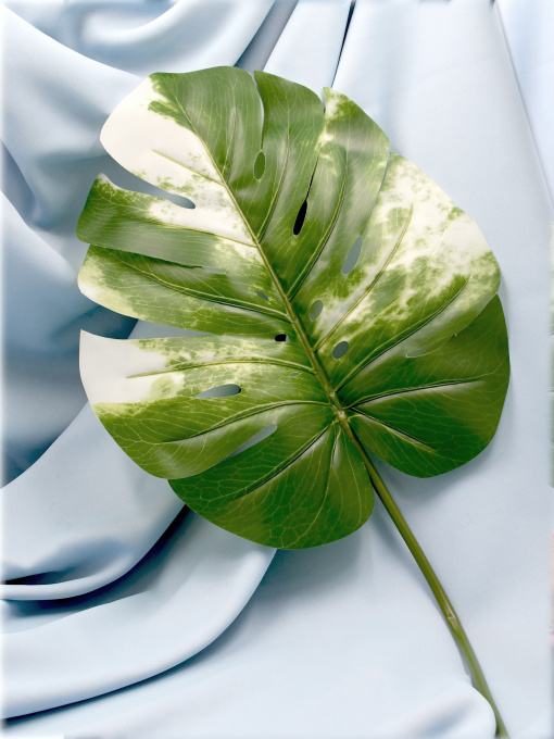 Штучне листя "Monstera Alba", 78 см Engard модель TW-55 Фото