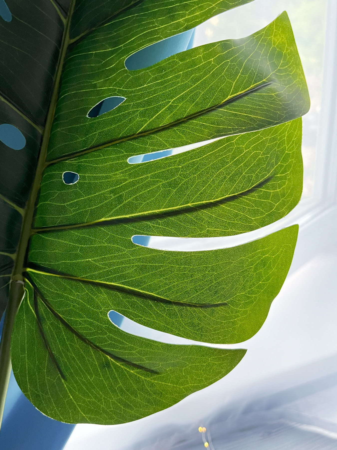 Штучне листя "Monstera" Engard модель TW-06 Фото