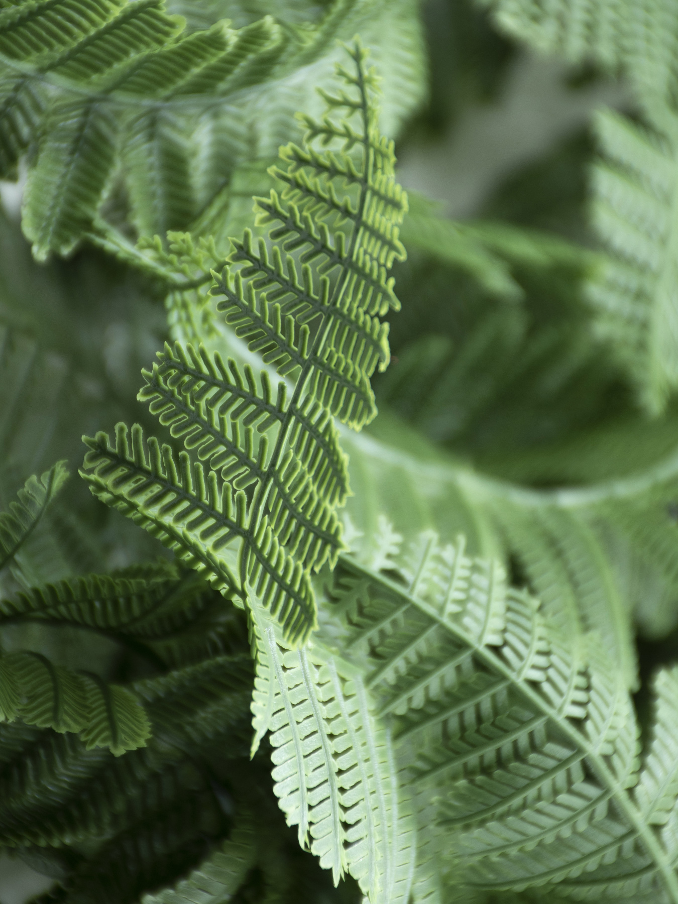 Штучна гілка "Persian fern" Engard модель AV-01 Фото