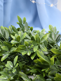 Штучна гілка "Schefflera" Engard модель AV-02 Фото