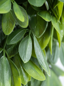 Штучна гілка "Schefflera" Engard модель AV-02 Фото