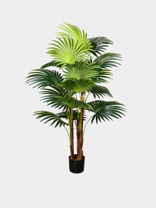 Искусственное растение "Cycas Palm" Engard модель DW-23 Фото