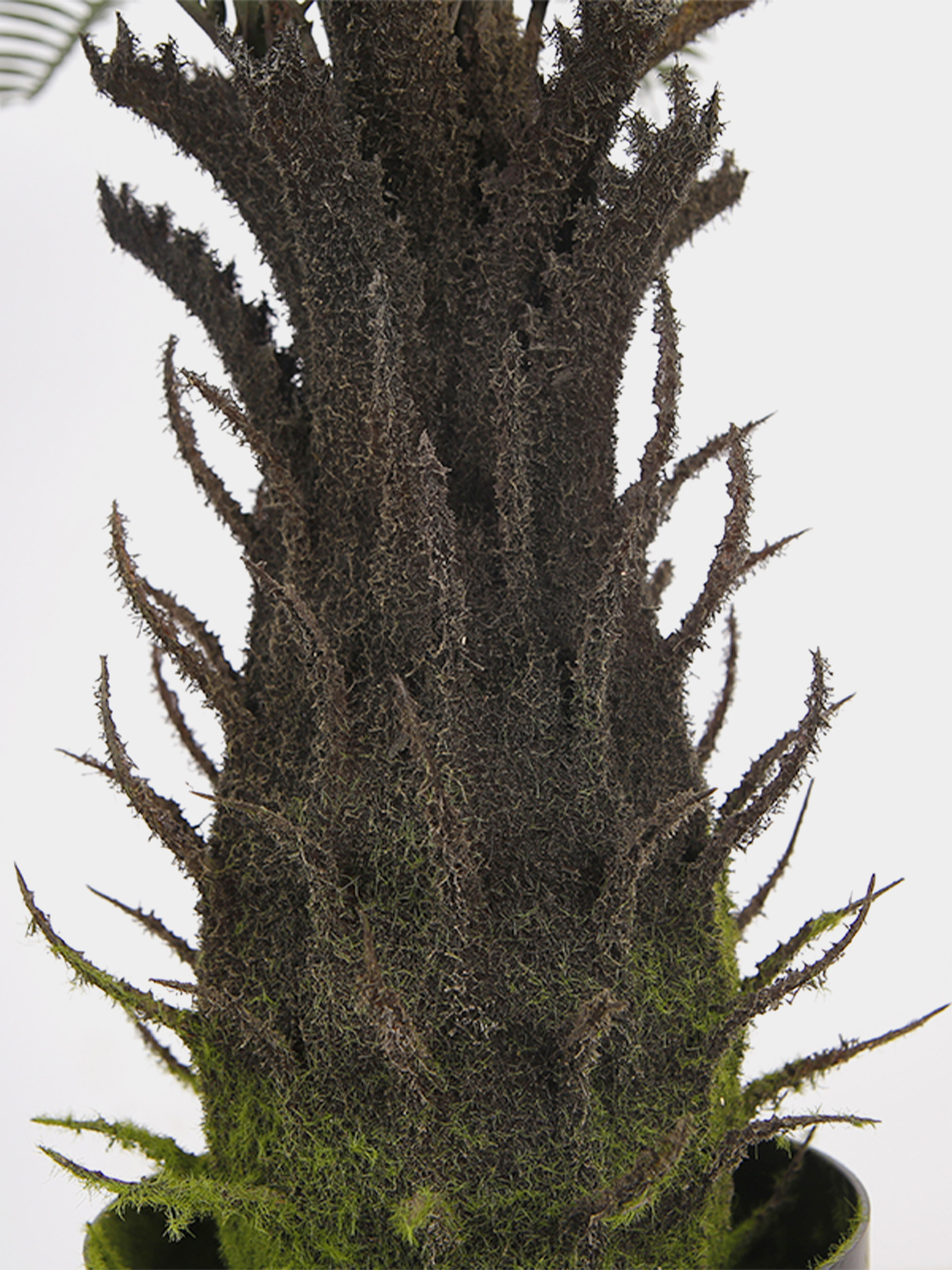 Штучна рослина "Cycas Palm" Engard модель DW-25 Штучна рослина "Cycas Palm" Engard модель DW-25 Фото