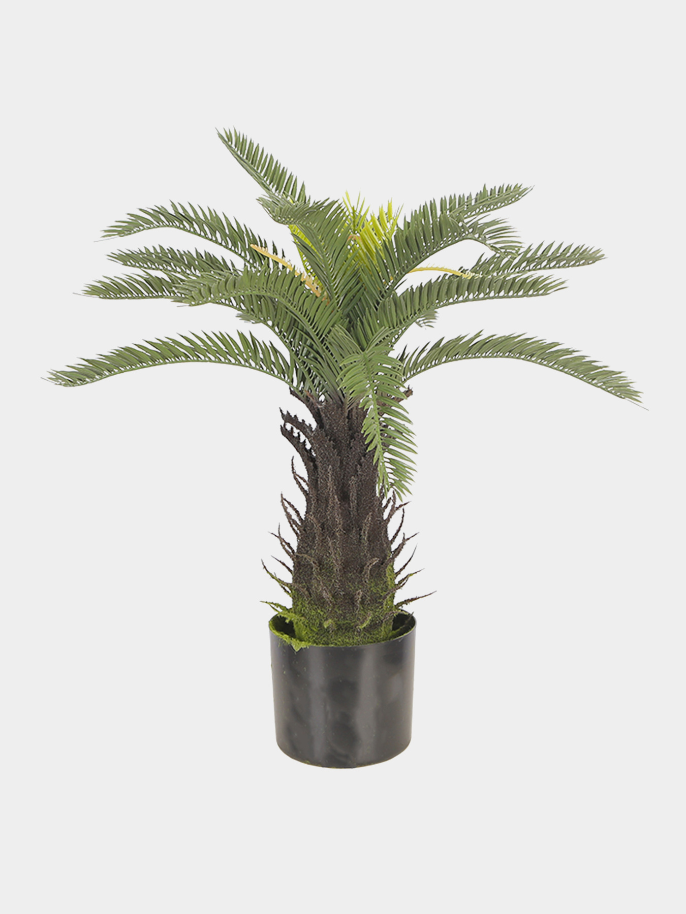 Штучна рослина "Cycas Palm" Engard модель DW-25 Штучна рослина "Cycas Palm" Engard модель DW-25 Фото